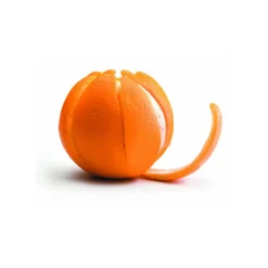 Eplucheur D'Oranges Inox><noscript><img width=