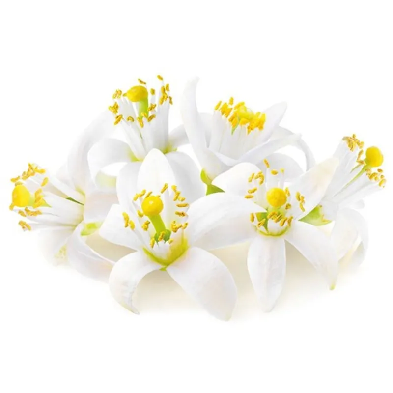 Cerf Dellier Extraits*Extrait De Fleur D'Oranger Patisdecor 50 Ml