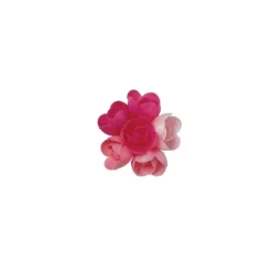 Petite Rose Arome Fruits Rouges (X72)>Cerf Dellier Hot
