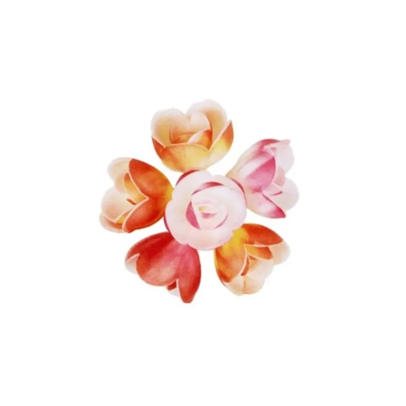 Rose Decor Nuance Aerographe (X72)>Cerf Dellier New