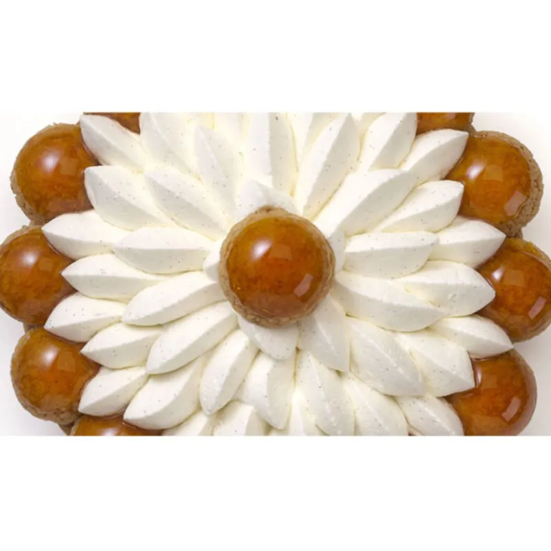 Cerf Dellier Sucre Aromatisé*Sucre Vanille Bio Prova 1 Kg